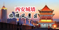 黄色视频男女日逼中国陕西-西安城墙旅游风景区
